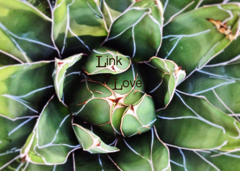 Link Love