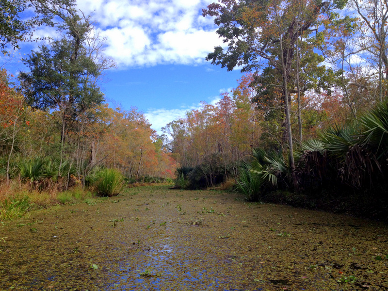 Louisiana