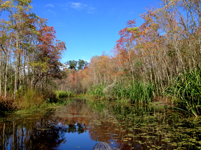 Louisiana