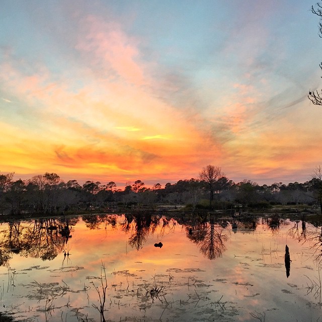 St. Andrews State Park