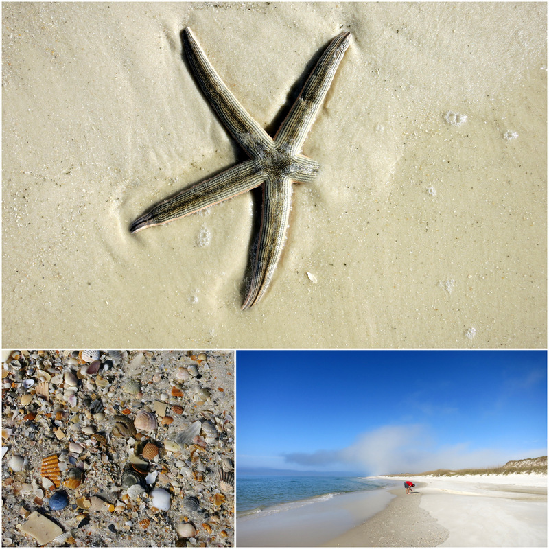 St. Joseph Peninsula State Park