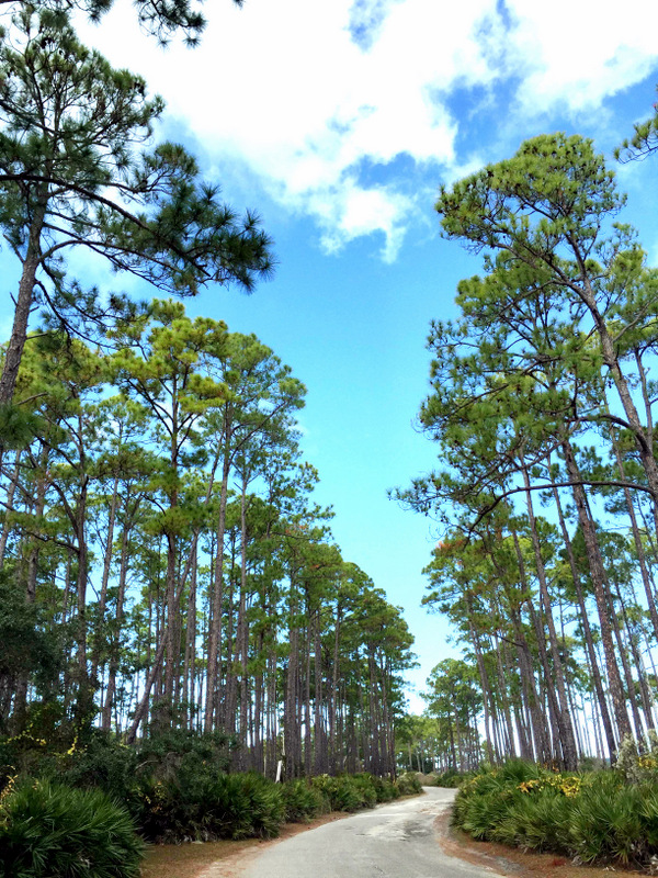 St. Andrews State PArk