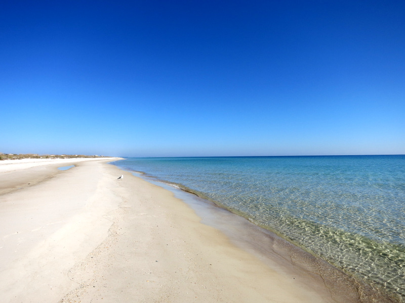 Afbeeldingsresultaat voor St. George Island florida