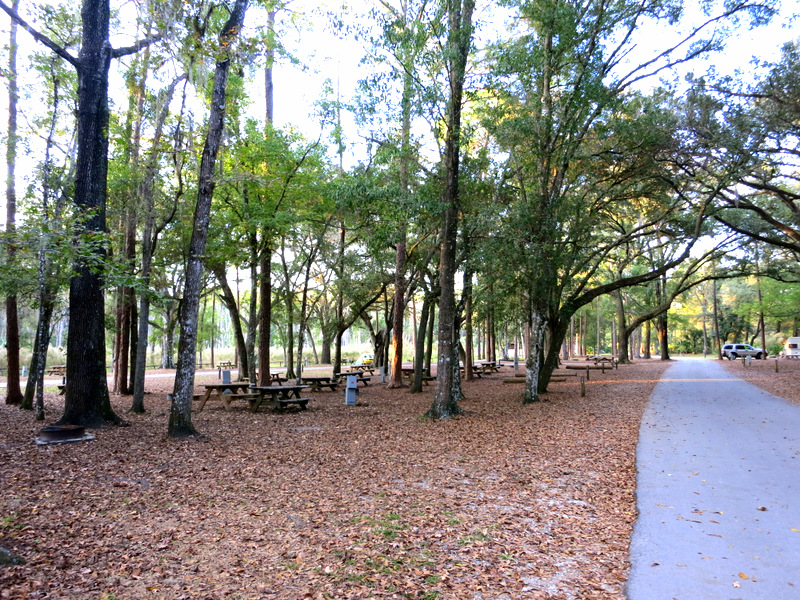 Highlands Hammock State Park