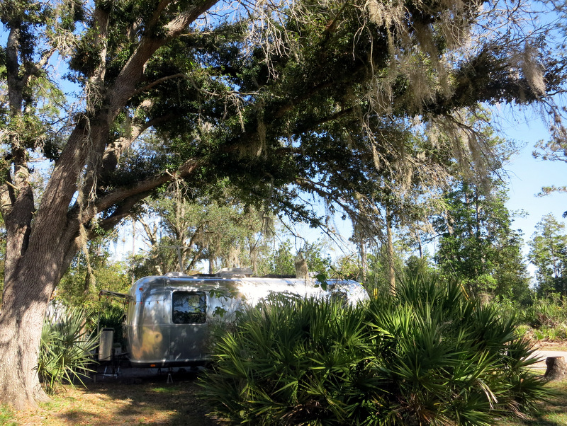 Highlands Hammock State Park