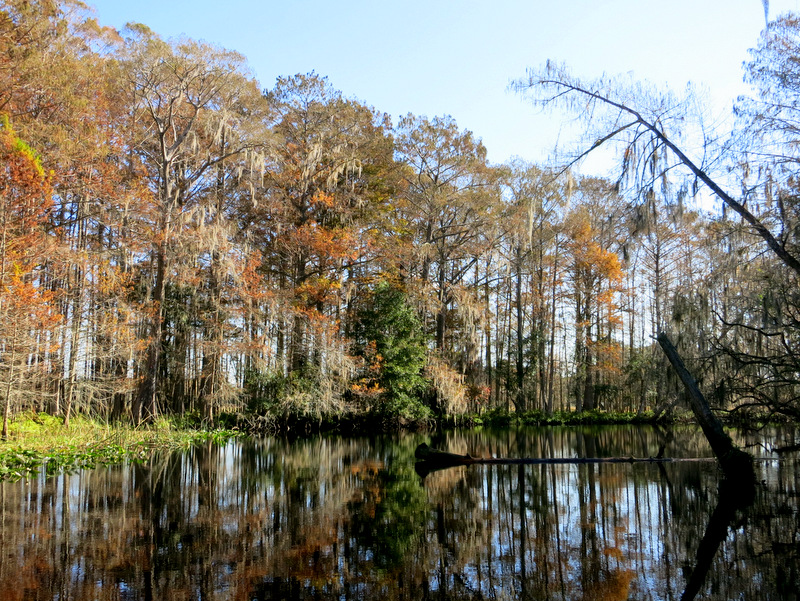 Airboat Adventure