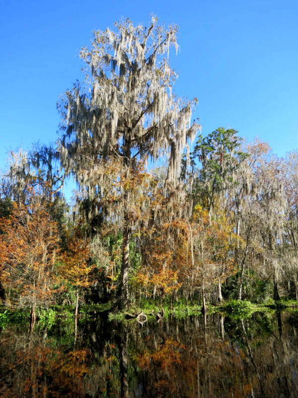 Airboat Adventure