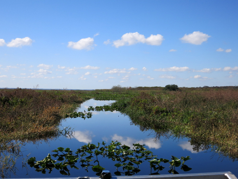 Airboat Adventure