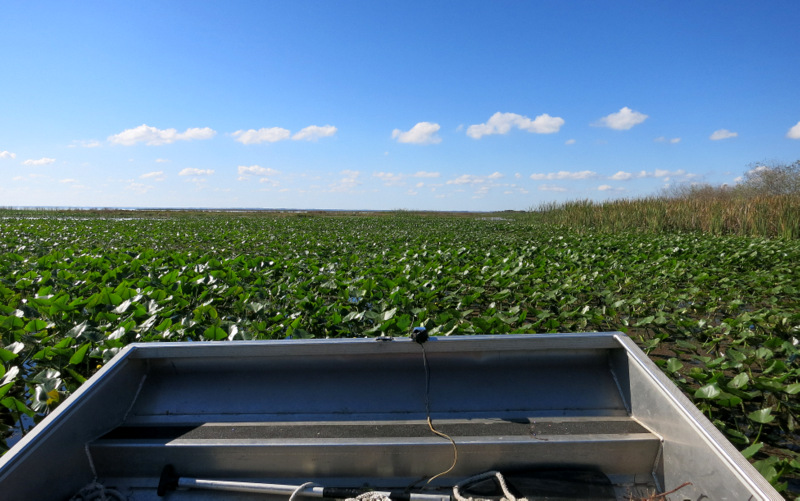 Airboat Adventure