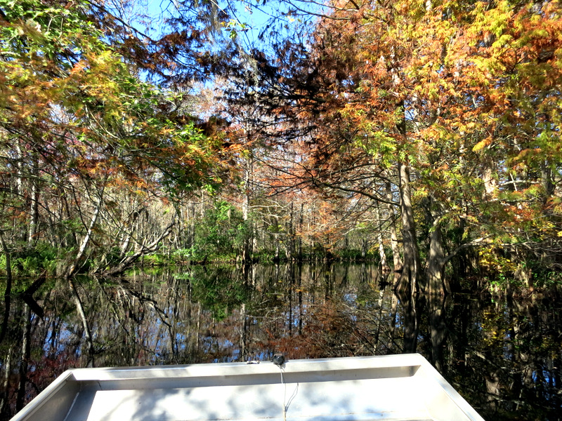 Airboat Adventure