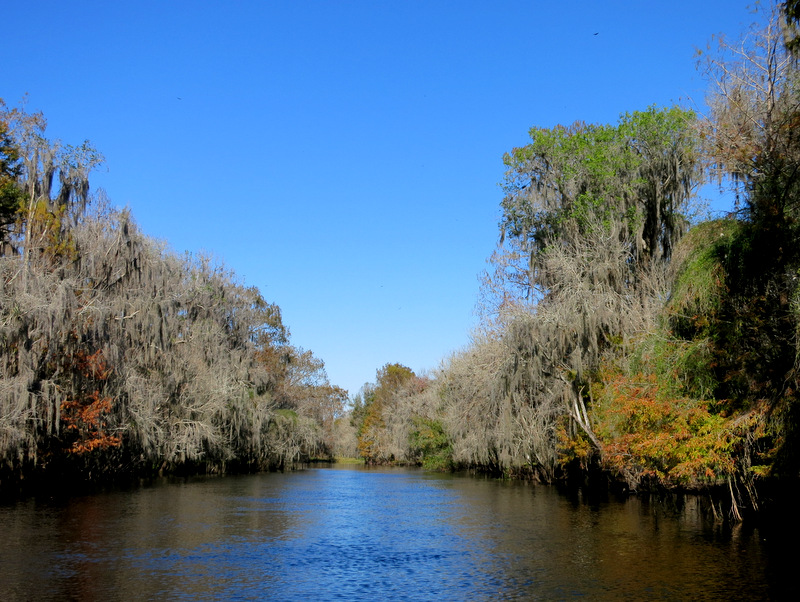 Airboat Adventure