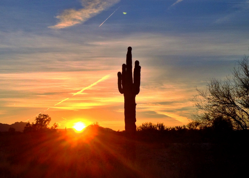 Quartzsite, AZ