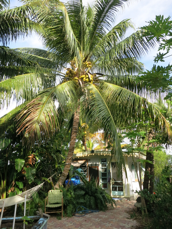 Tropical Garden Tour