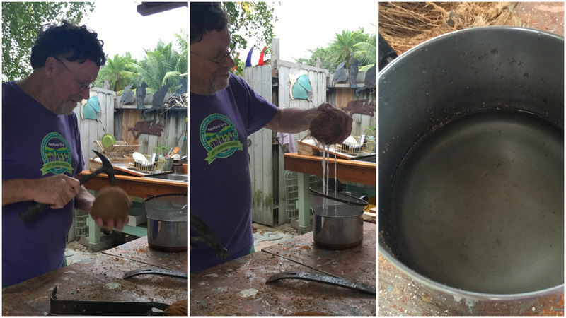 Homemade Coconut Milk