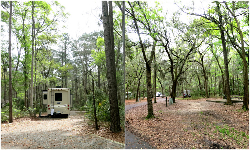 Skidaway Island State Park