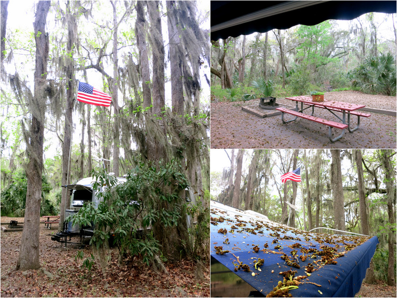 Skidaway Island State Park