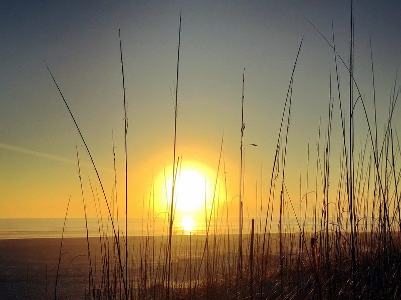 Anastasia State Park