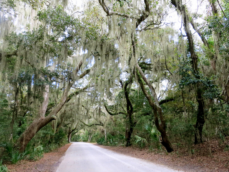 Best Hikes and Trails in Fort Clinch State Park