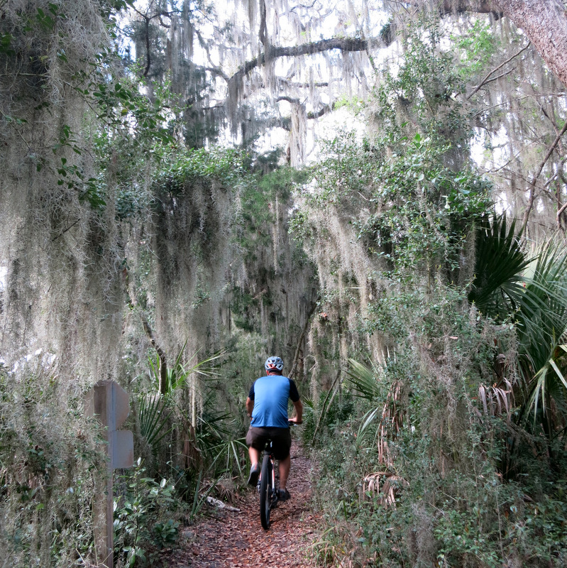 Fort Clinch State Park