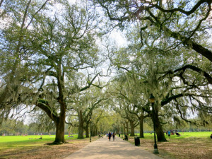 Historic Savannah