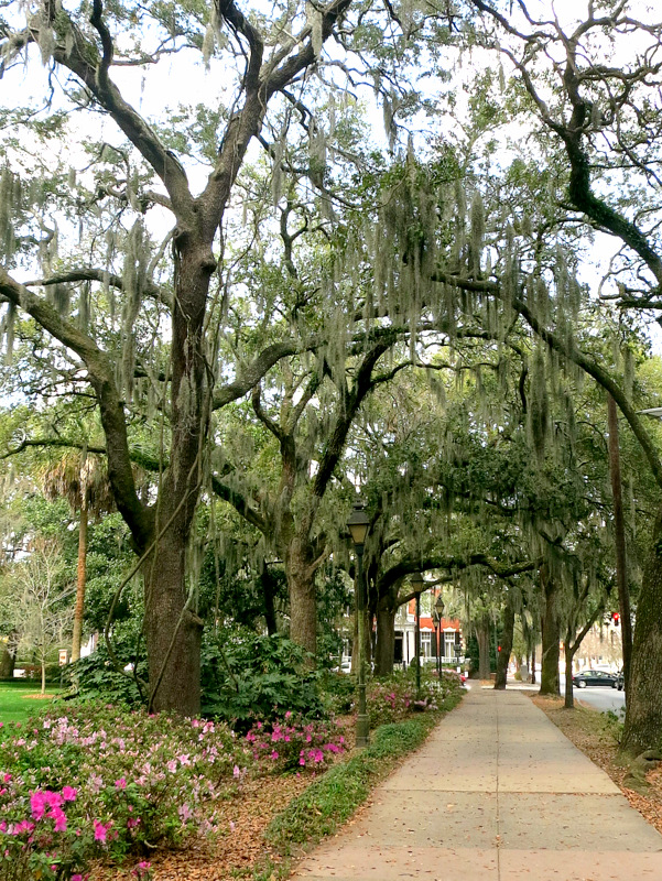 Historic Savannah