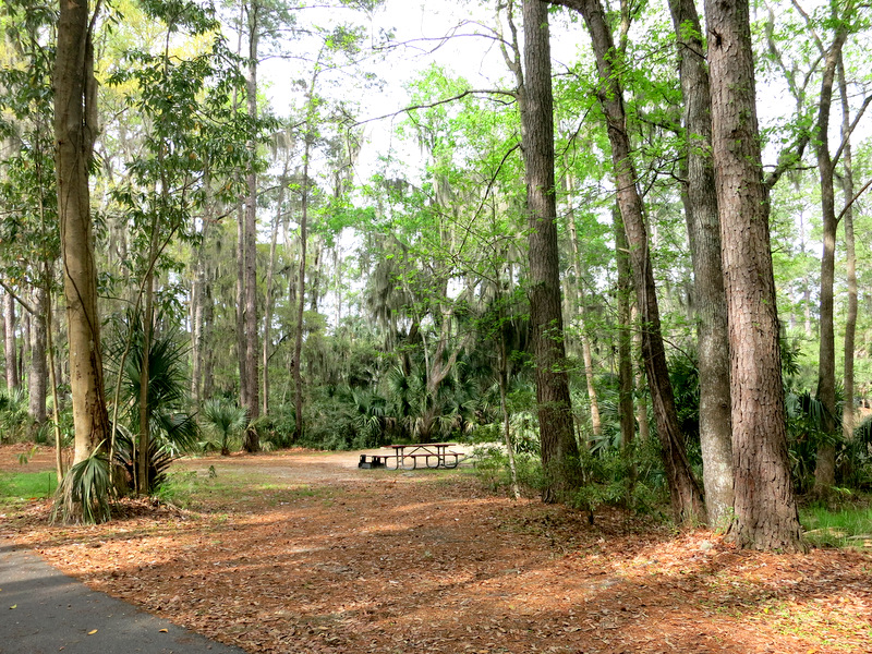 Skidaway Island State Park