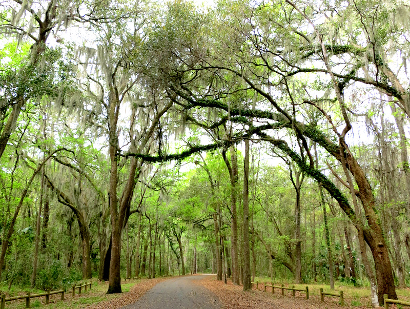 Skidawy Island State Park