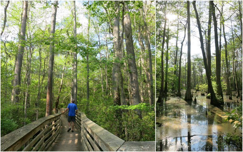 First Landing State Park