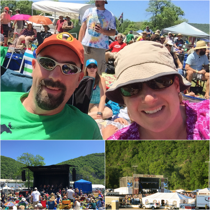 DelFest 2015