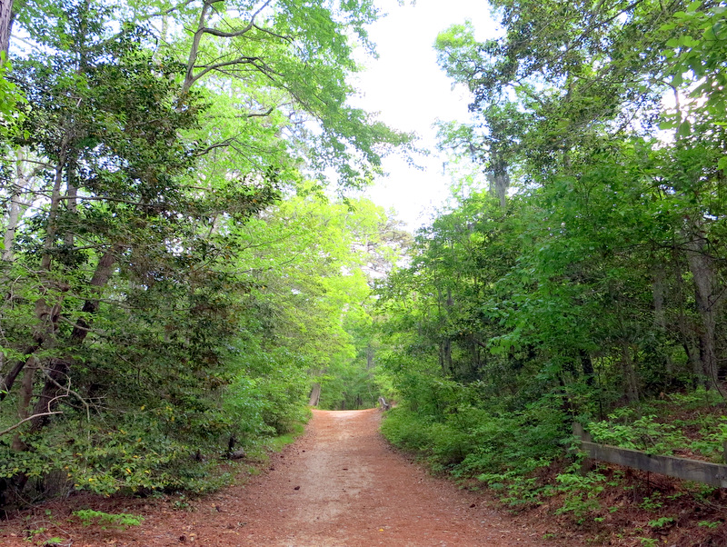 First Landing State Park