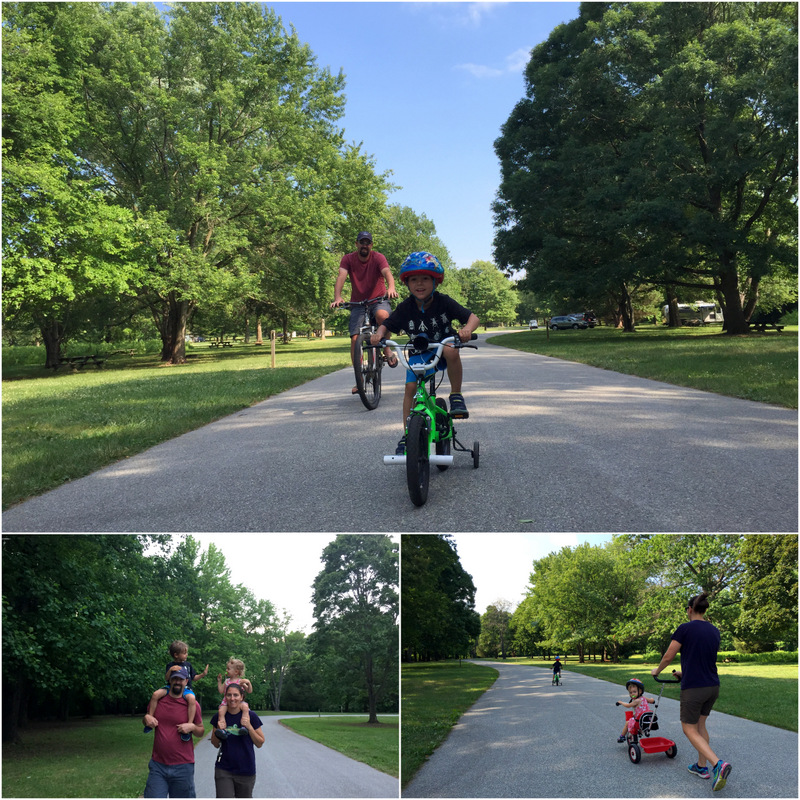 Lums Pond State Park