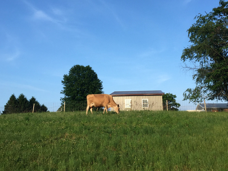 Woodside Farms Creamery