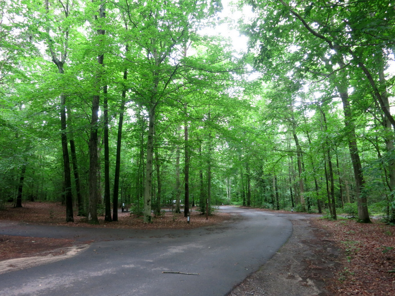 Tuckahoe State Park