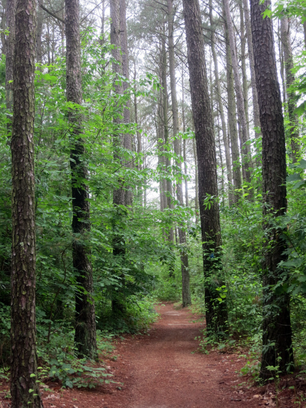 Tuckahoe State Park