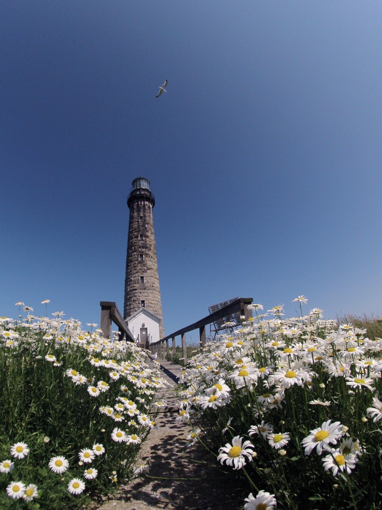 South Light House