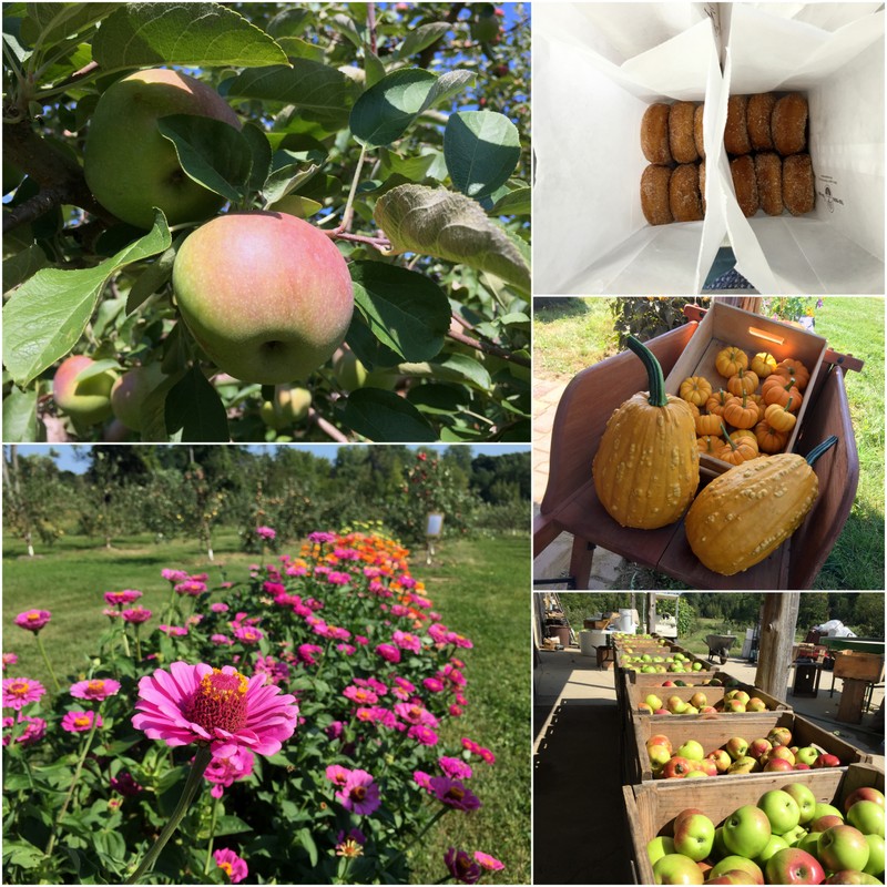 Boyers Apple Orchard