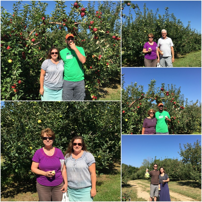 Boyers Apple Orchard