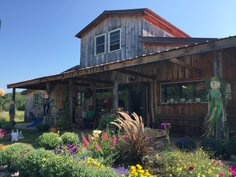 Boyers Apple Orchard