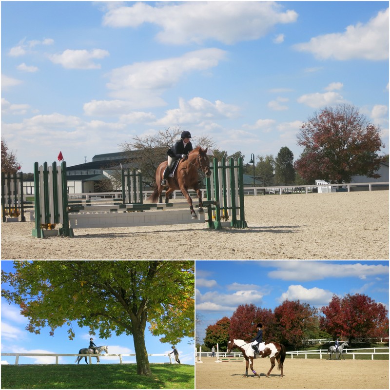 Kentucky Horse Park