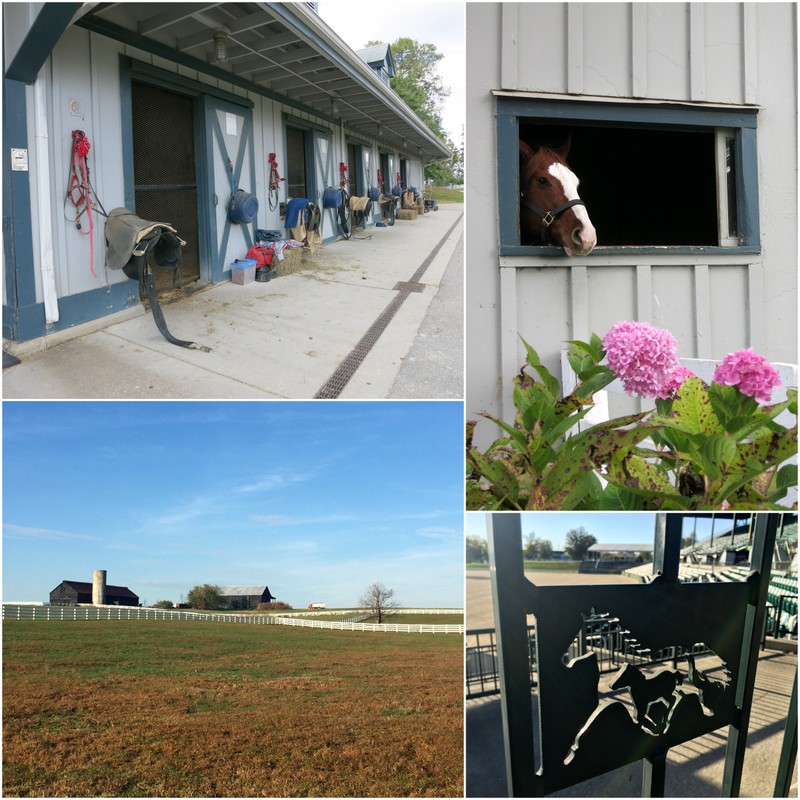 Kentucky Horse Park