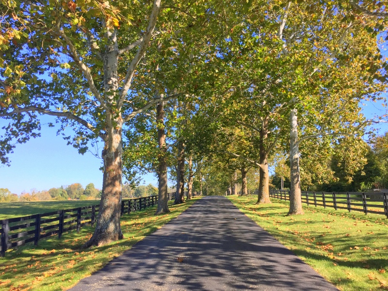 Kentucky Horse Park