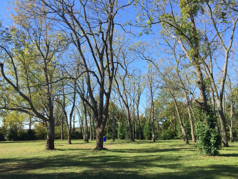 Kentucky Horse Park