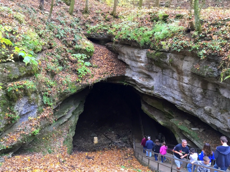 Mammoth Cave National Park