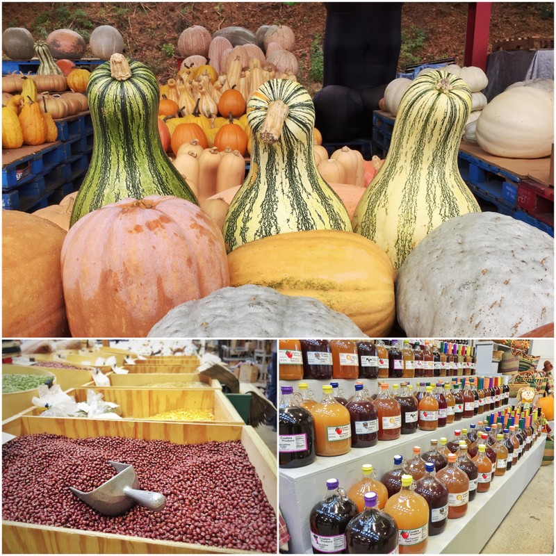 Asheville Farmers Market