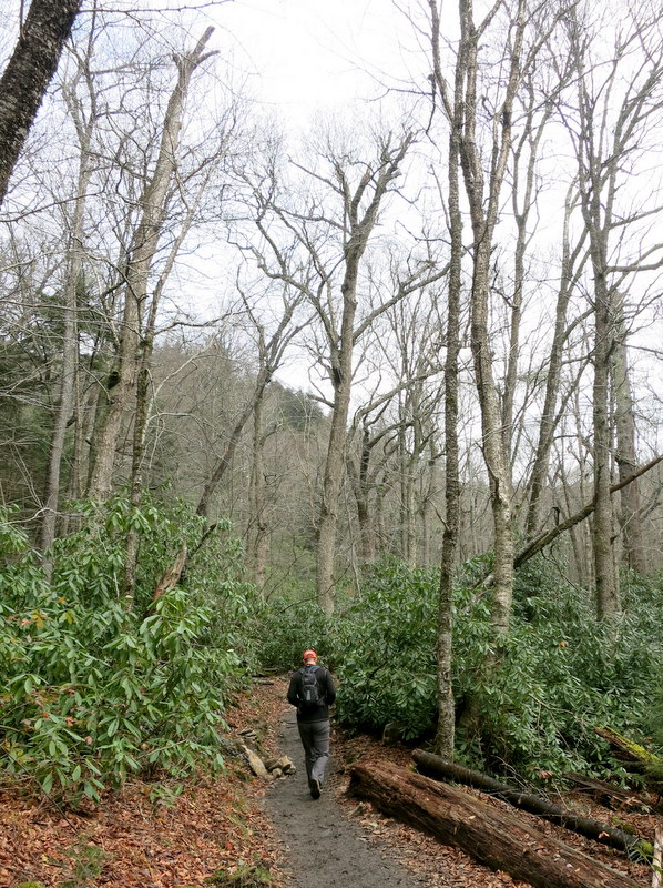 Smoky Mountains National Park