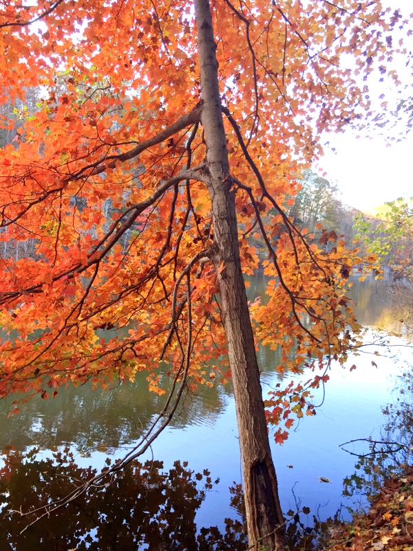 Standing Stone State Park