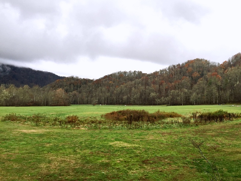 Great Smoky Mountains National Park