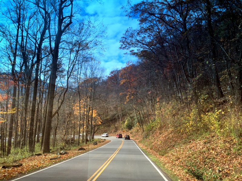 Great Smoky Mountains National Park