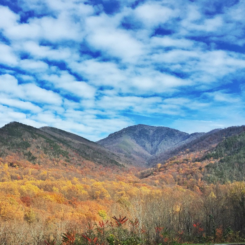 Great Smoky Mountains National Park