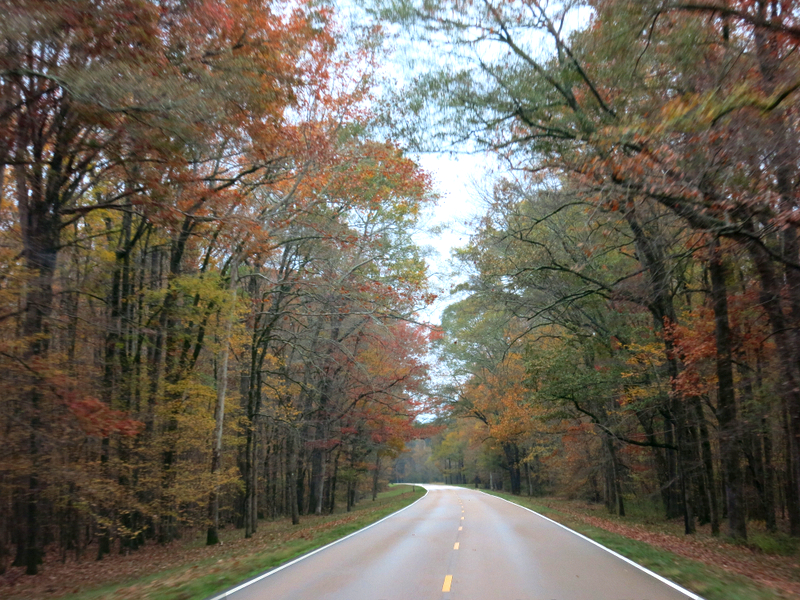 Natchez Trace Parkway